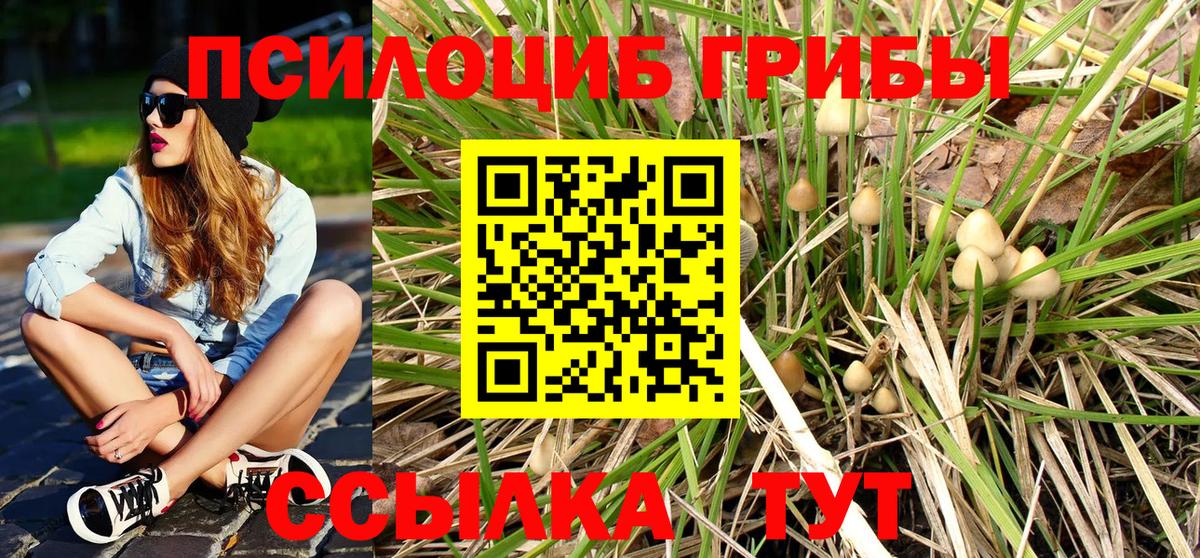 Псилоцибиновые грибы MAGIC MUSHROOMS  Вход с VPN  Соль-Илецк 