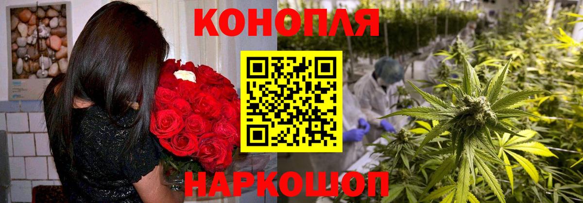 Канабис индика Соль-Илецк